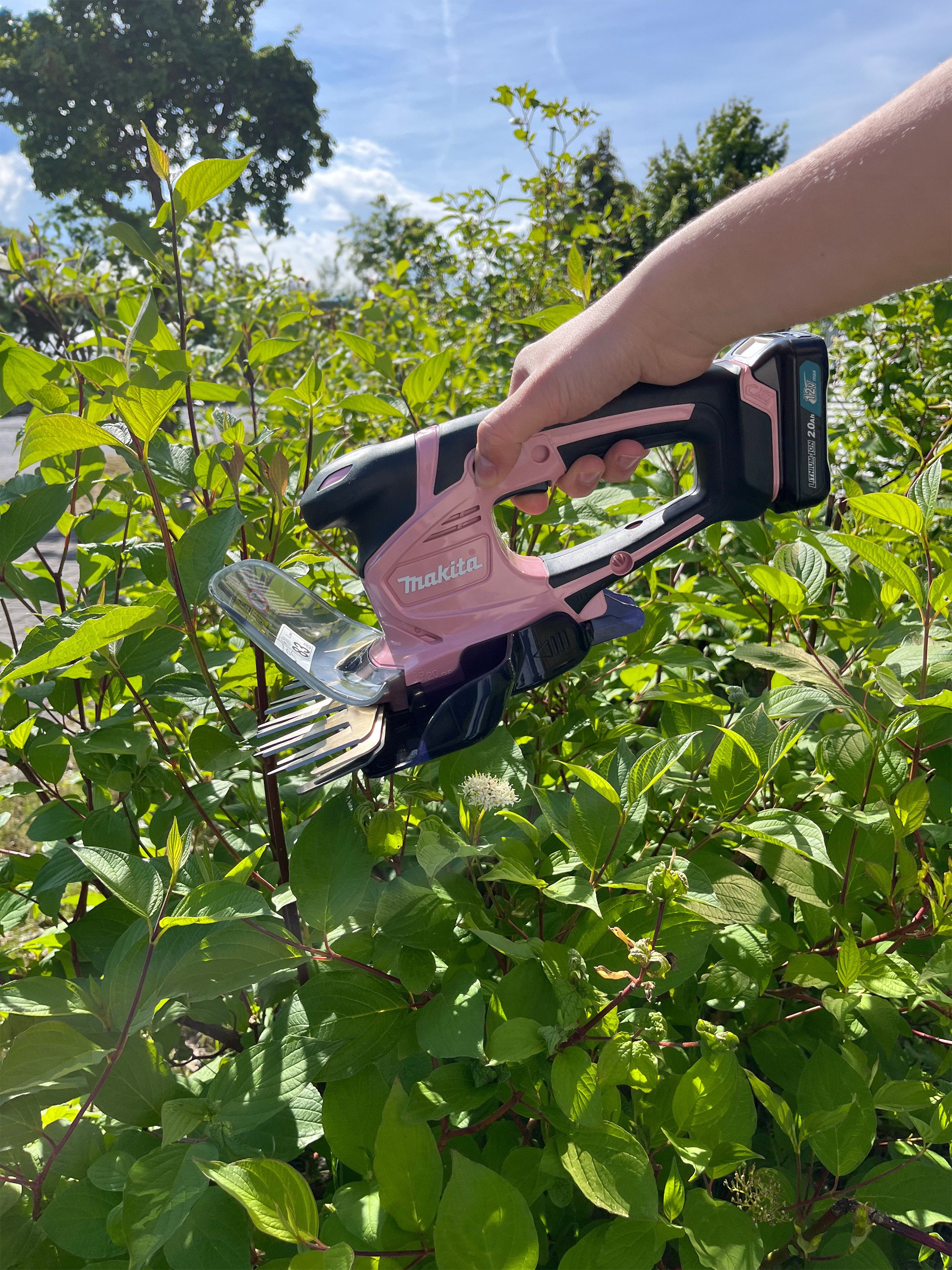 Makita Akku-Grasschere UM600DSAP, Pink [12 V] inkl. Akku 2 Ah und Ladegerät DC10SB