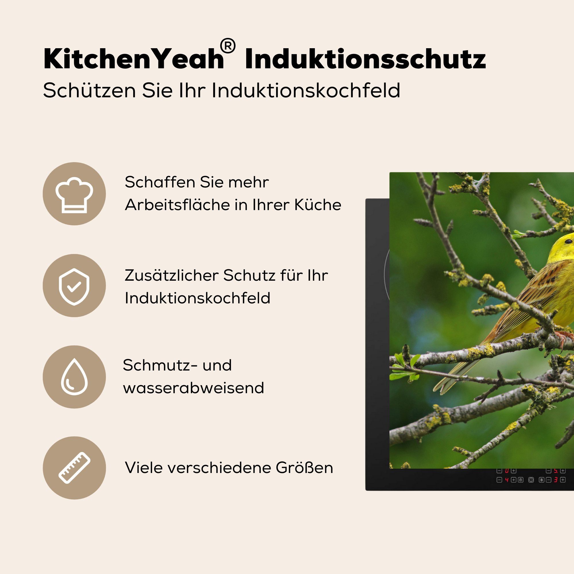 MuchoWow Herdblende-/Abdeckplatte Goldammer - Ast Arbeitsplatte (1 Baum, für küche - Vinyl, 78x78 tlg), cm, Ceranfeldabdeckung