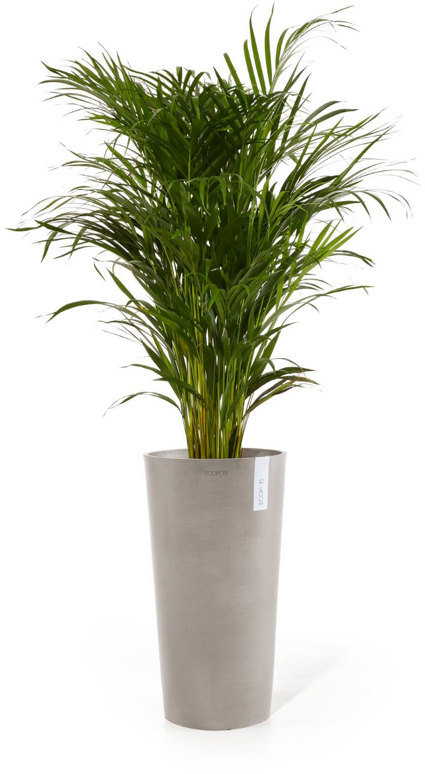 ECOPOTS Blumentopf AMSTERDAM HIGH Taupe, BxTxH: 41x41x76 cm günstig online kaufen