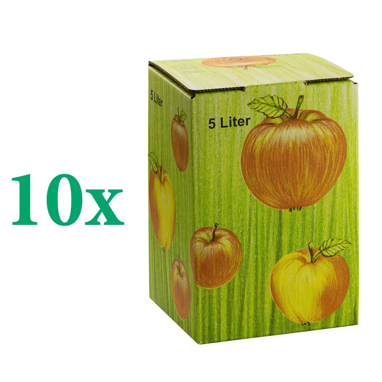 DEMA Entsafter 10x Bag in Box Karton 5L Faltkarton Apfeldekor – Bild 2 von 5