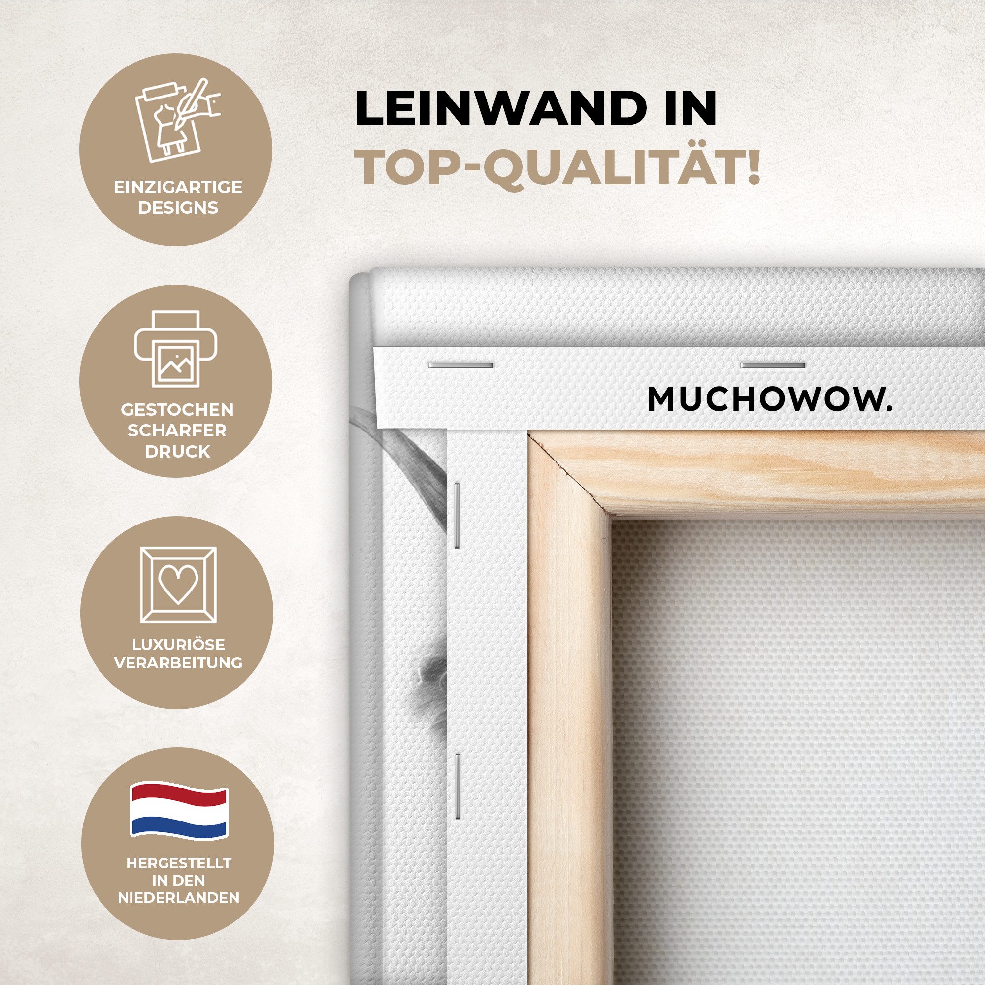 OneMillionCanvasses® Leinwandbild Scottish Highlander - Kuh - Bademantel - günstig online kaufen