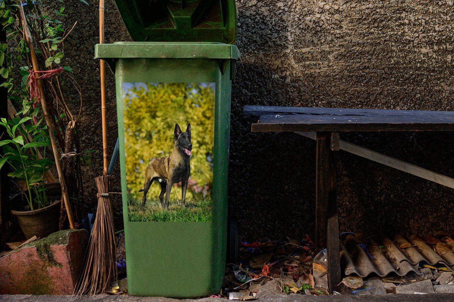 St), Container, im Malinois MuchoWow Mülleimer-aufkleber, Abfalbehälter Gras Sticker, Mülltonne, Wandsticker (1 Posierender