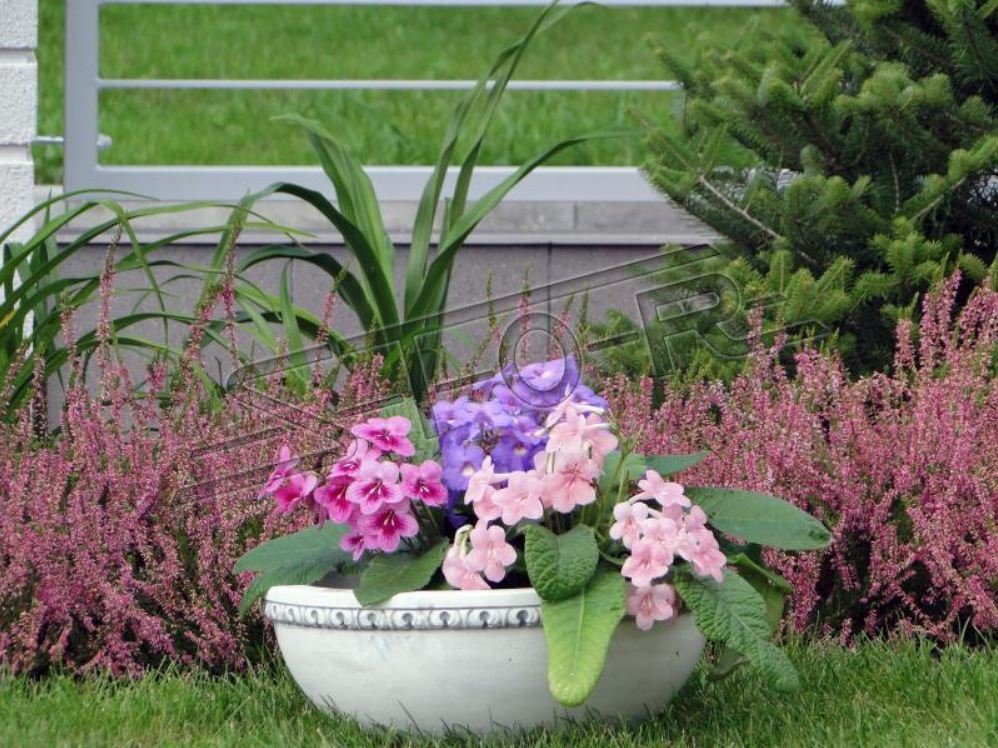 Garten JVmoebel Skulptur Blumen Gefäss Vase Blumenkorb Figuren Terrasse