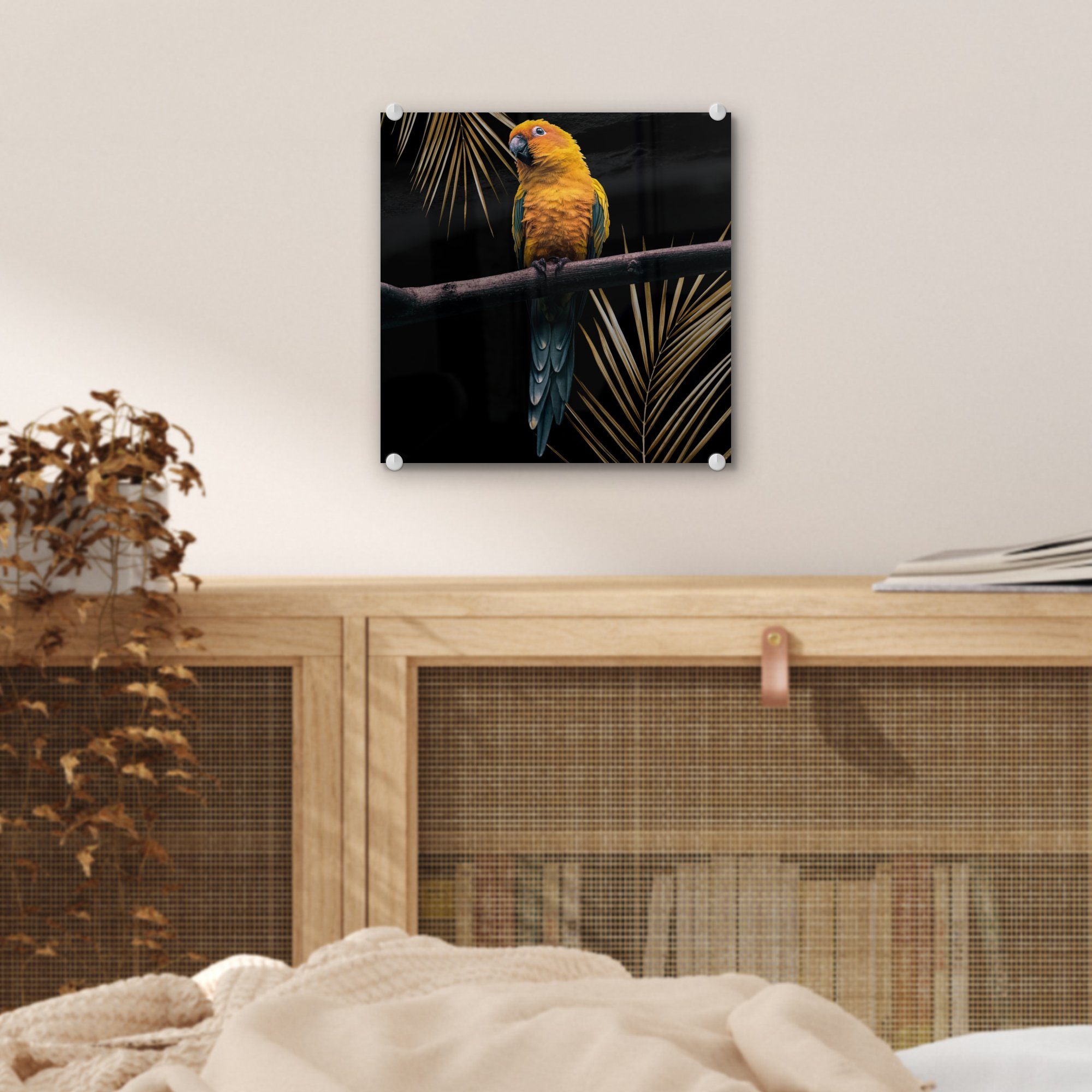 - Vogel Glasbilder St), Glas - - Zweig Foto auf MuchoWow Bilder Wandbild Papagei Acrylglasbild (1 - auf Glas Farn, - - Wanddekoration
