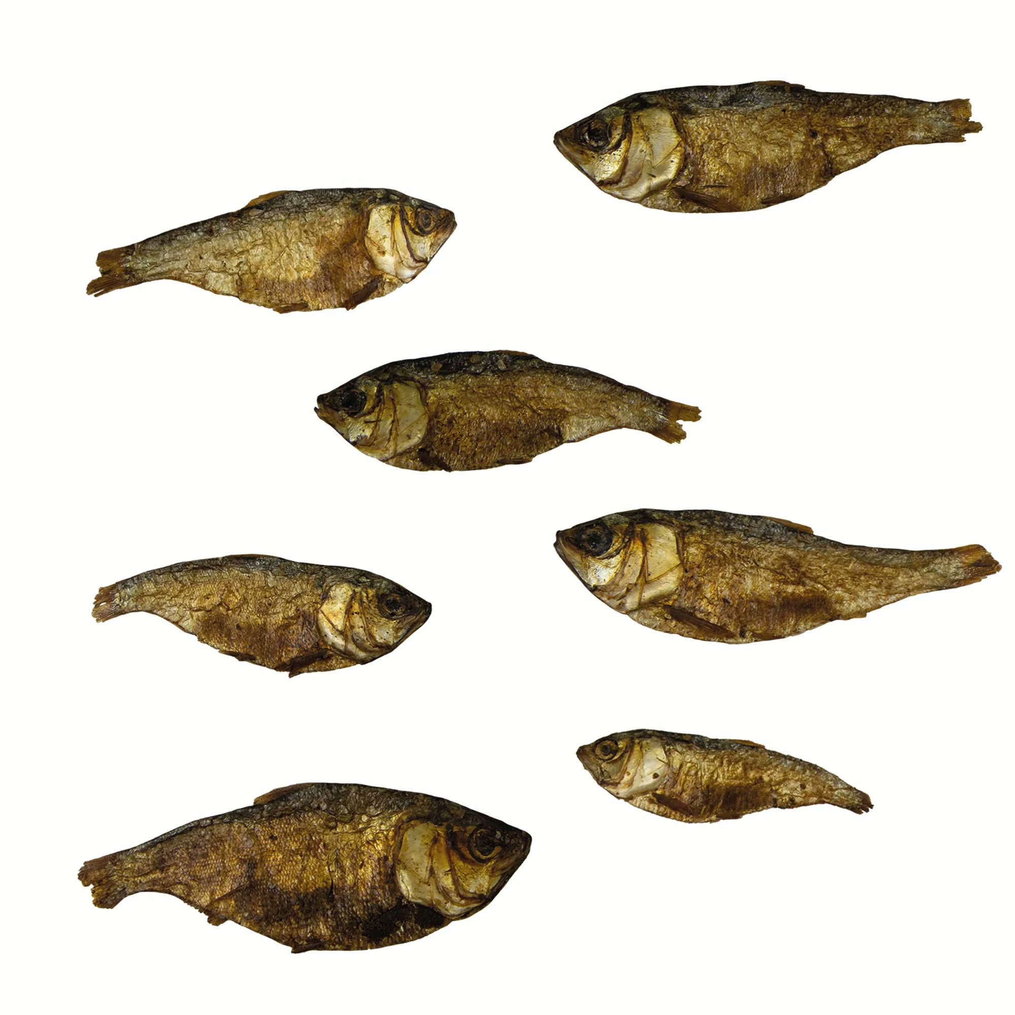 Schecker Mojarra Snackfisch - getrocknete Knabberfische ohne jegliche Zusätze Fisch, Snack für: Hunde, mit Jod und wertvolle Omega-Fettsäuren