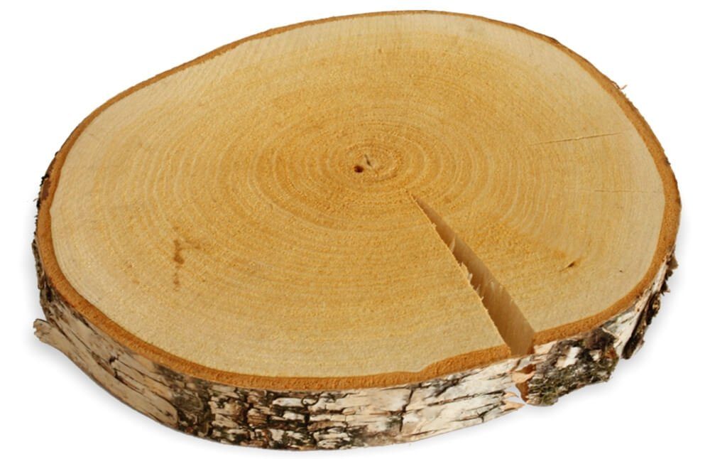 matches21 HOME & HOBBY Bilderrahmen Baumscheiben 1 Stk. Dekoholz Holzscheibe Holzplatte 10 - 15 cm, (1 St), 100% deutsche Birkenscheiben für Basteln Dekorieren Tischdeko