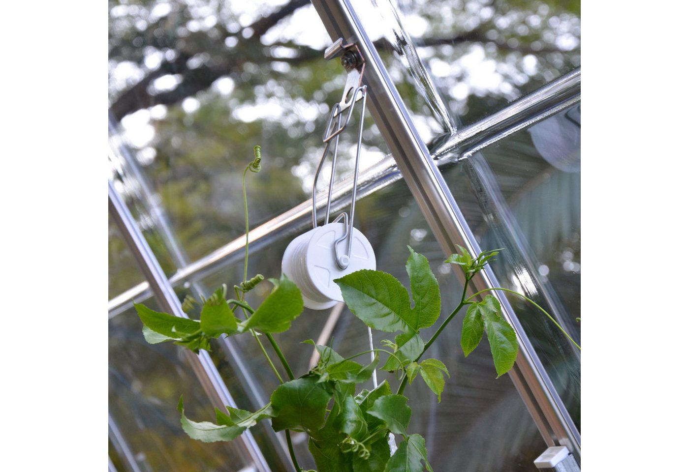 Palram - Canopia Gewächshaus Rankhilfe-... Palram - Canopia Gewächshaus Rankhilfe-...