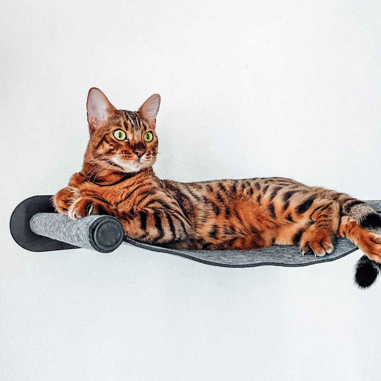 Canadian Cat Company Katzen-Hängematte mit Wandmontage, anthrazit, ca. 65 x 35 x 10 cm, Kletterwand Liegemulde Wandliege Katzenbett aus Filz