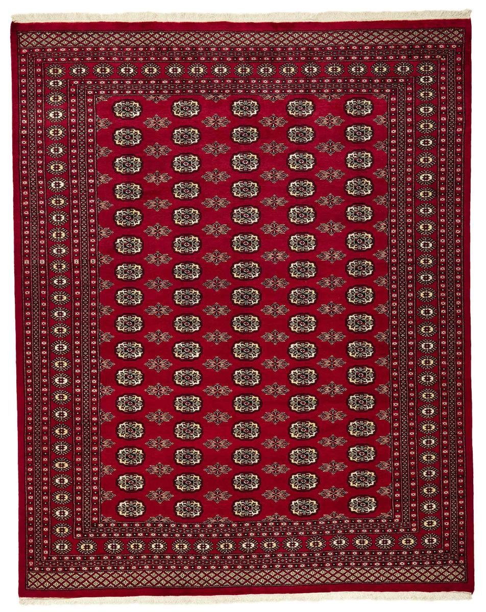 Orientteppich Pakistan Buchara 2ply 245x305 Handgeknüpfter Orientteppich, Nain Trading, rechteckig, Höhe: 8 mm