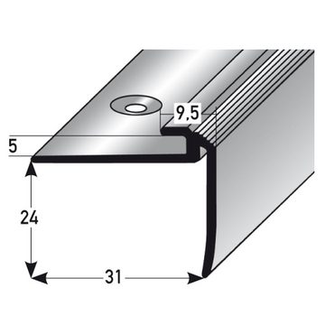 PROVISTON Abschlussprofil Aluminium, 31 x 4.5 x 1000 mm, Silber, Einfass- & Abschlussprofile