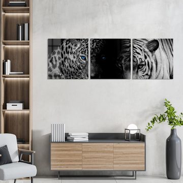 DEQORI Glasbild 'Leopard und Tiger', 'Leopard und Tiger', Glas Wandbild Bild schwebend modern