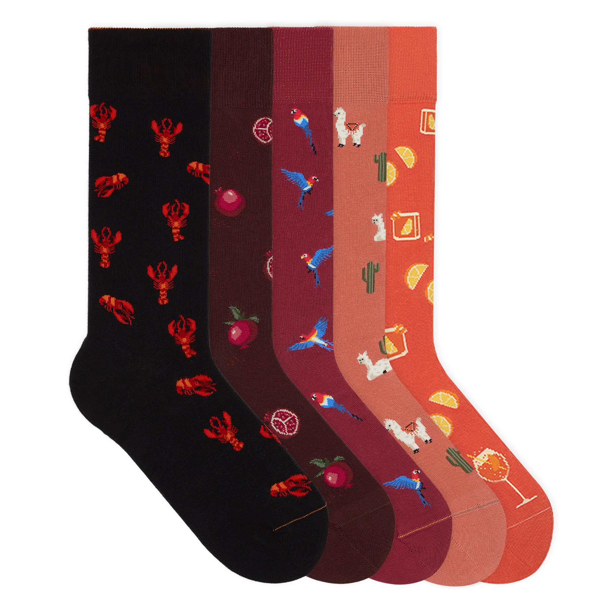 von Jungfeld Socken Seasonal Icon Bundle Bio-Baumwolle 36-46 Unisex (5-Paar, 5 Paar)