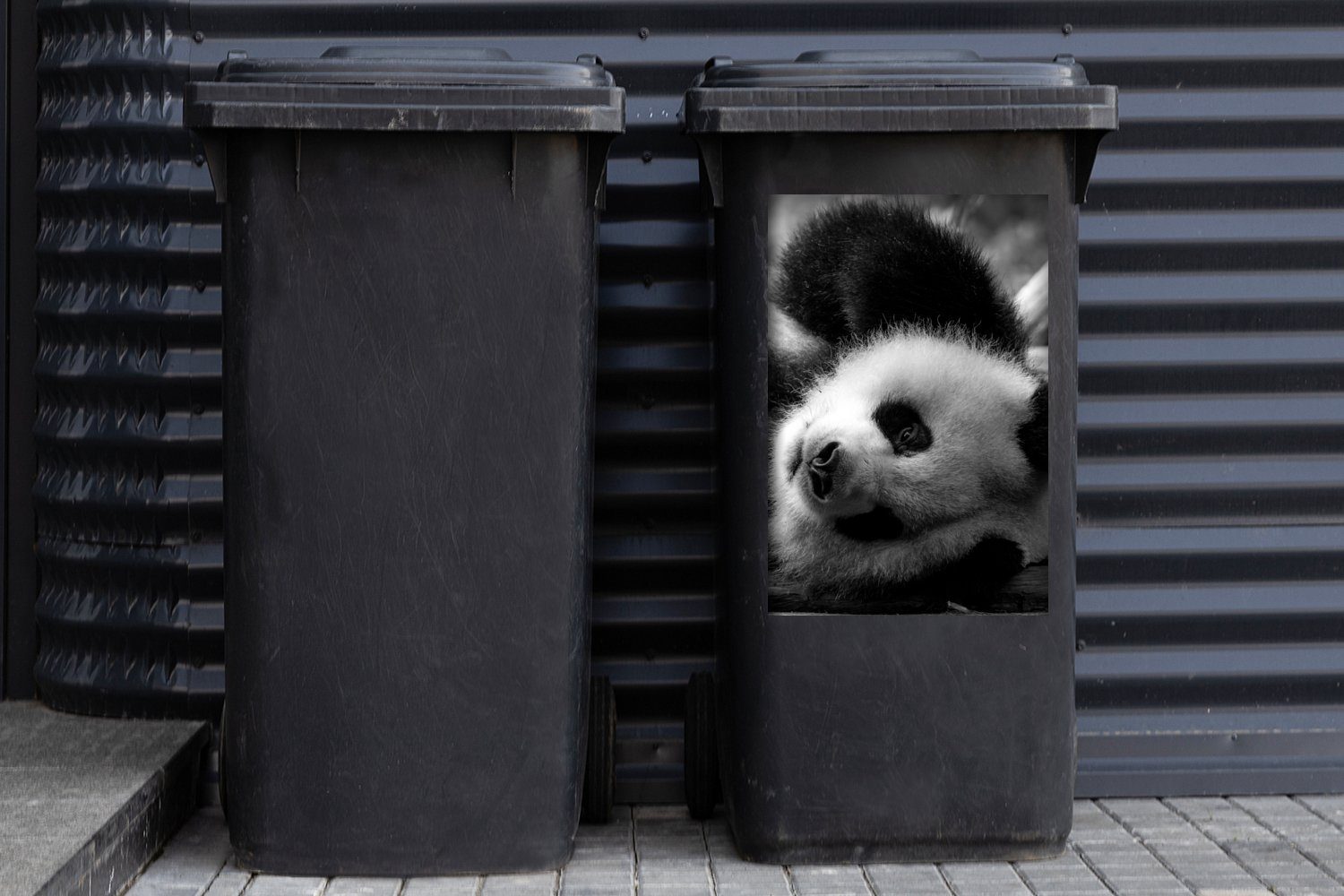 MuchoWow Wandsticker Tierprofil rollenden Panda Mülltonne, St), Abfalbehälter und Sticker, Container, schwarz weiß (1 in Mülleimer-aufkleber