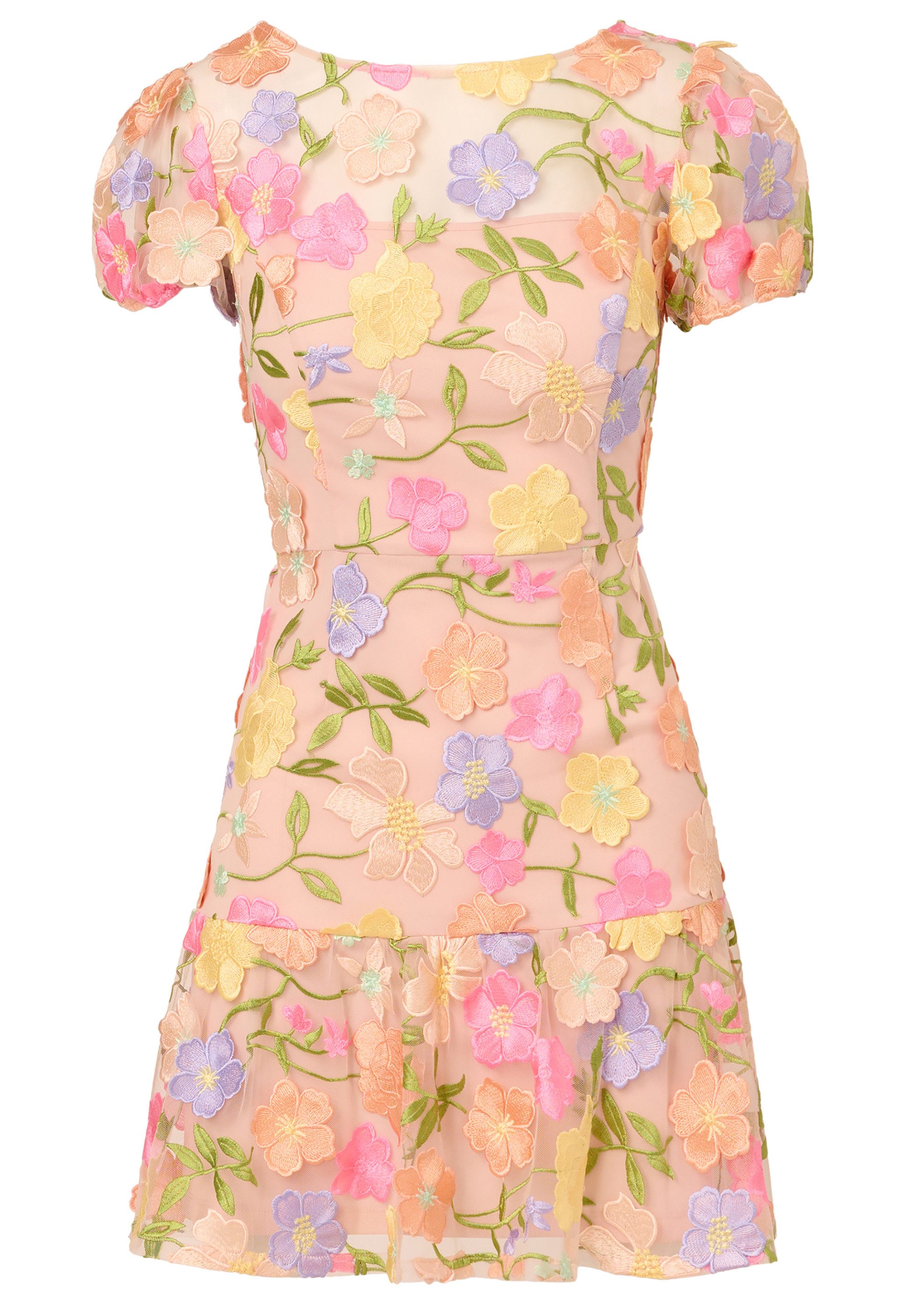 Adrianna Papell Abendkleid Embroidered Flounce Dress günstig online kaufen