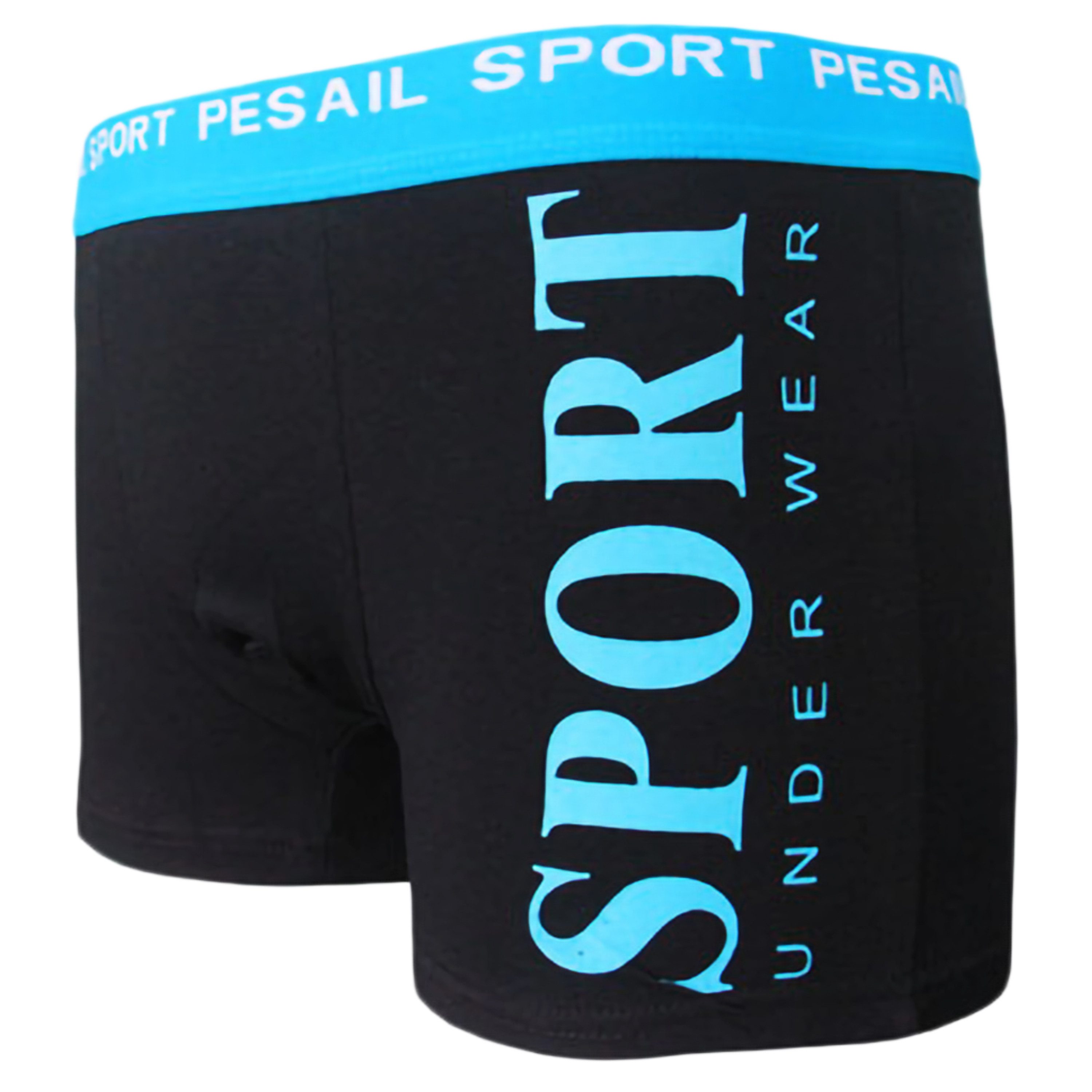 TEXEMP Retro Boxer 6er Pack Herren Boxershorts Retroshorts Baumwolle Unterhosen Trunks (Spar-Pack, 6-St) 95% Baumwolle, Atmungsaktiv