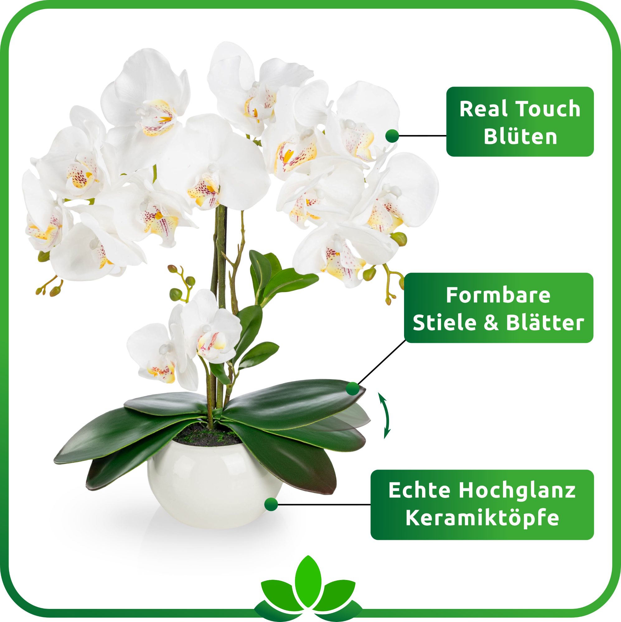 Kunstorchidee PASCH® Orchidee künstlich wie echt (40cm) in Hochglanz-Keramiktopf Orchidee, PASCH – Bild 3 von 5