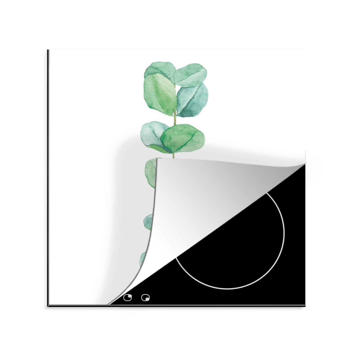 Arbeitsplatte tlg), - Eukalyptus MuchoWow Pflanze, - Herdblende-/Abdeckplatte Vinyl, küche Ceranfeldabdeckung, Aquarell (1 78x78 cm, für