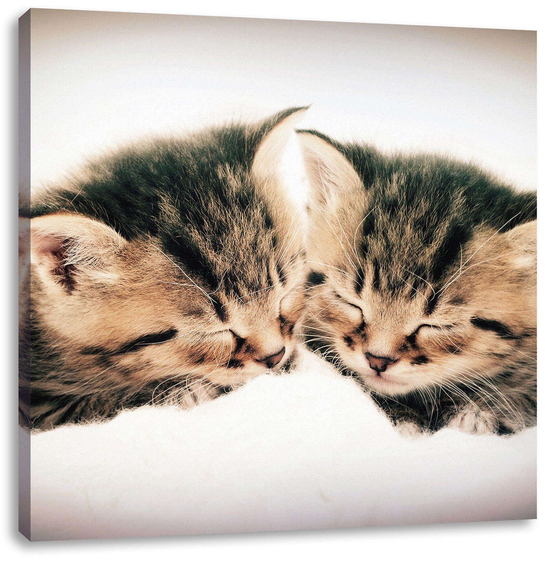 Pixxprint Leinwandbild Katzen Herzform, Katzen Herzform (1 St), Leinwandbild fertig bespannt, inkl. Zackenaufhänger