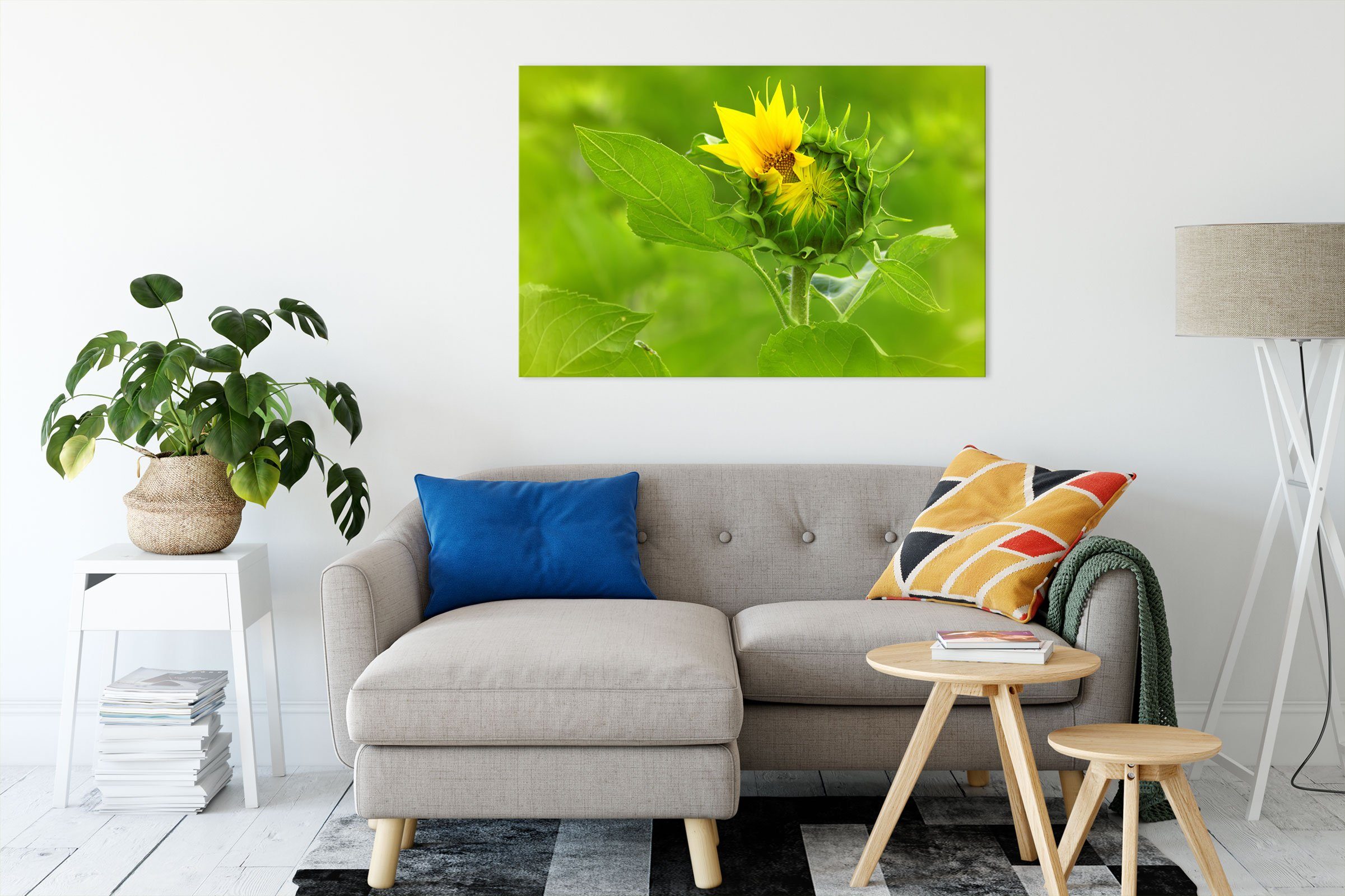 Pixxprint Leinwandbild inkl. Aufblühende Sonnenblume, Zackenaufhänger St), Leinwandbild (1 fertig bespannt, Aufblühende Sonnenblume