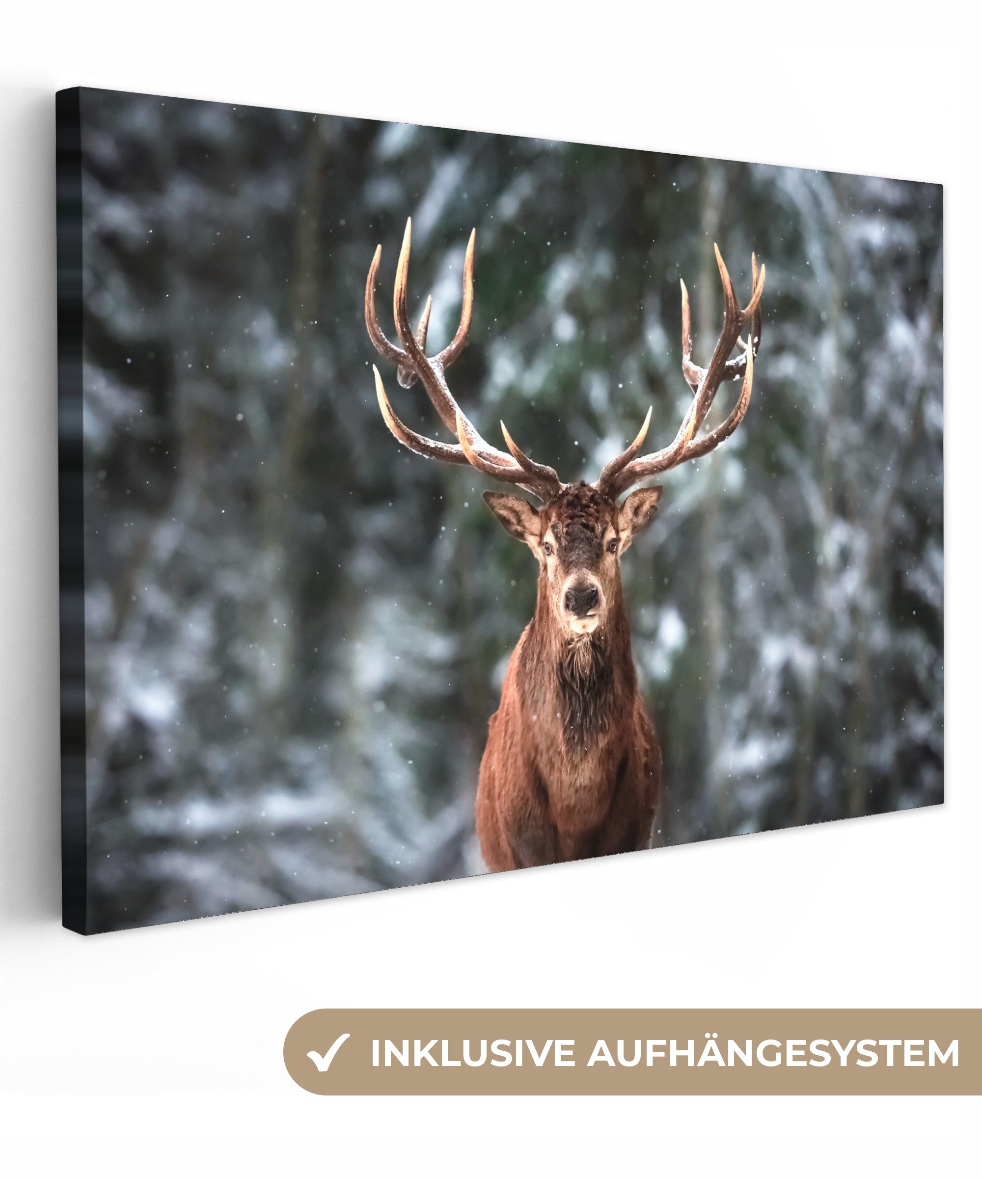 OneMillionCanvasses® Leinwandbild Rotwild - Winter - Schnee - Wald - Natur günstig online kaufen