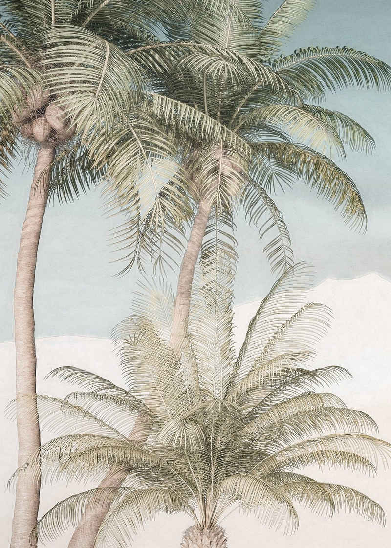 Komar Vliestapete Palm Oasis, (1 St), 200x280 cm (Breite x Höhe), Vliestapete, 100 cm Bahnbreite