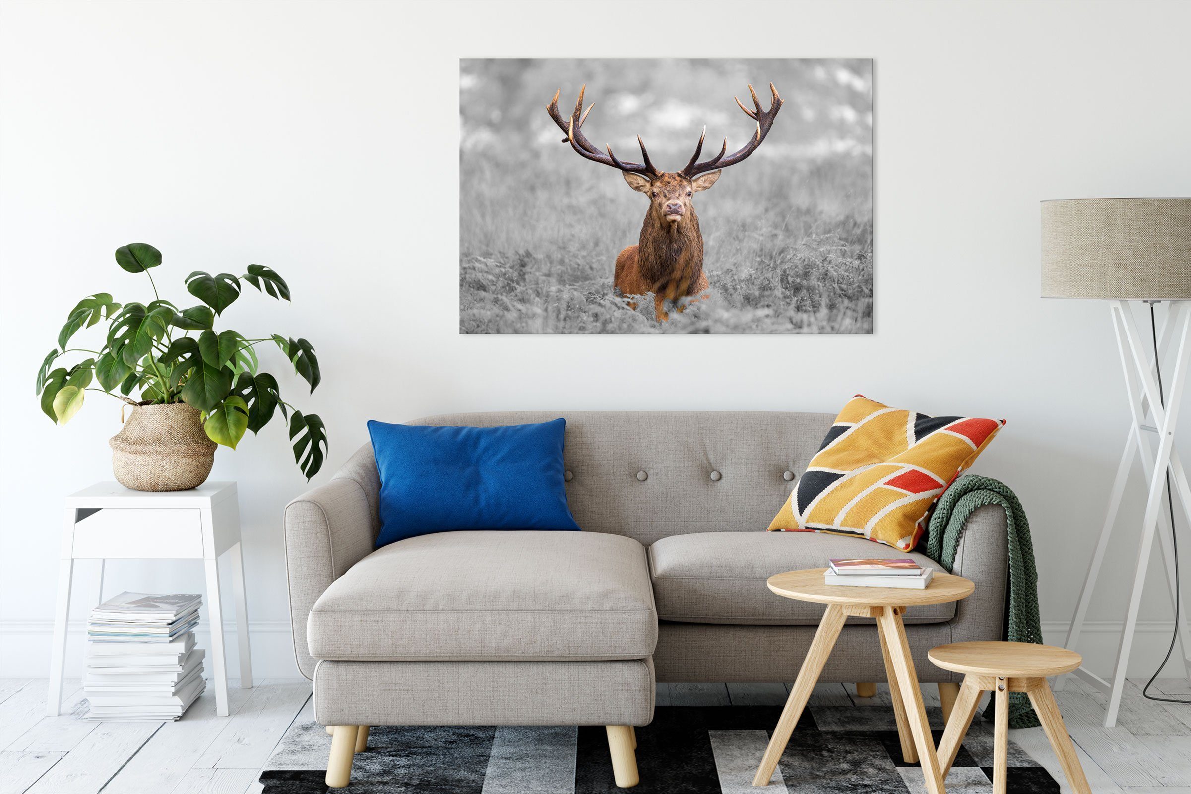 Pixxprint Leinwandbild Großer Hirsch im Feld, Großer Hirsch im Feld (1 St), günstig online kaufen