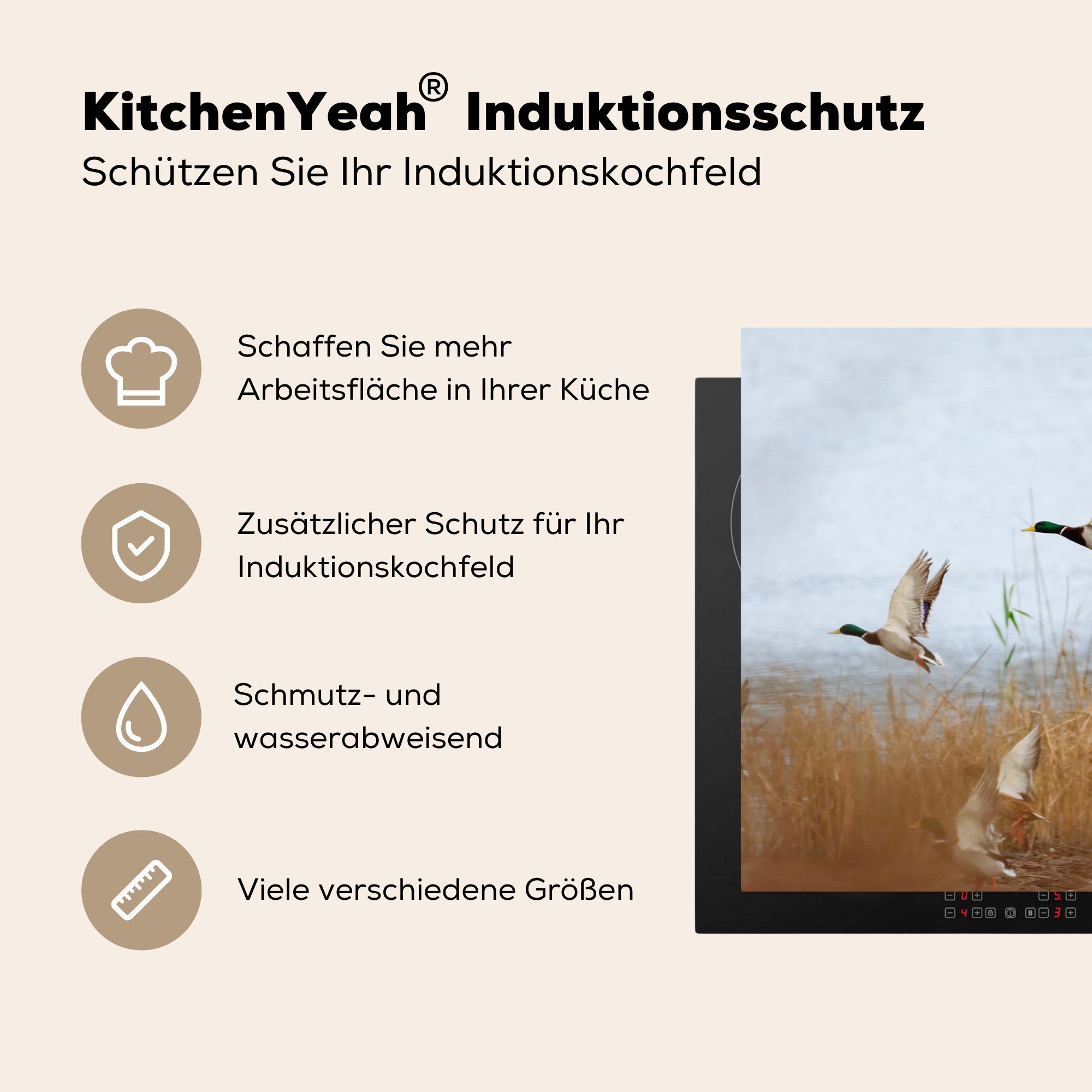 Ente küche Schilf - - Ceranfeldabdeckung, Arbeitsplatte Enten, für Wasser cm, Herdblende-/Abdeckplatte (1 Vogel tlg), - MuchoWow - 77x51 Vinyl,
