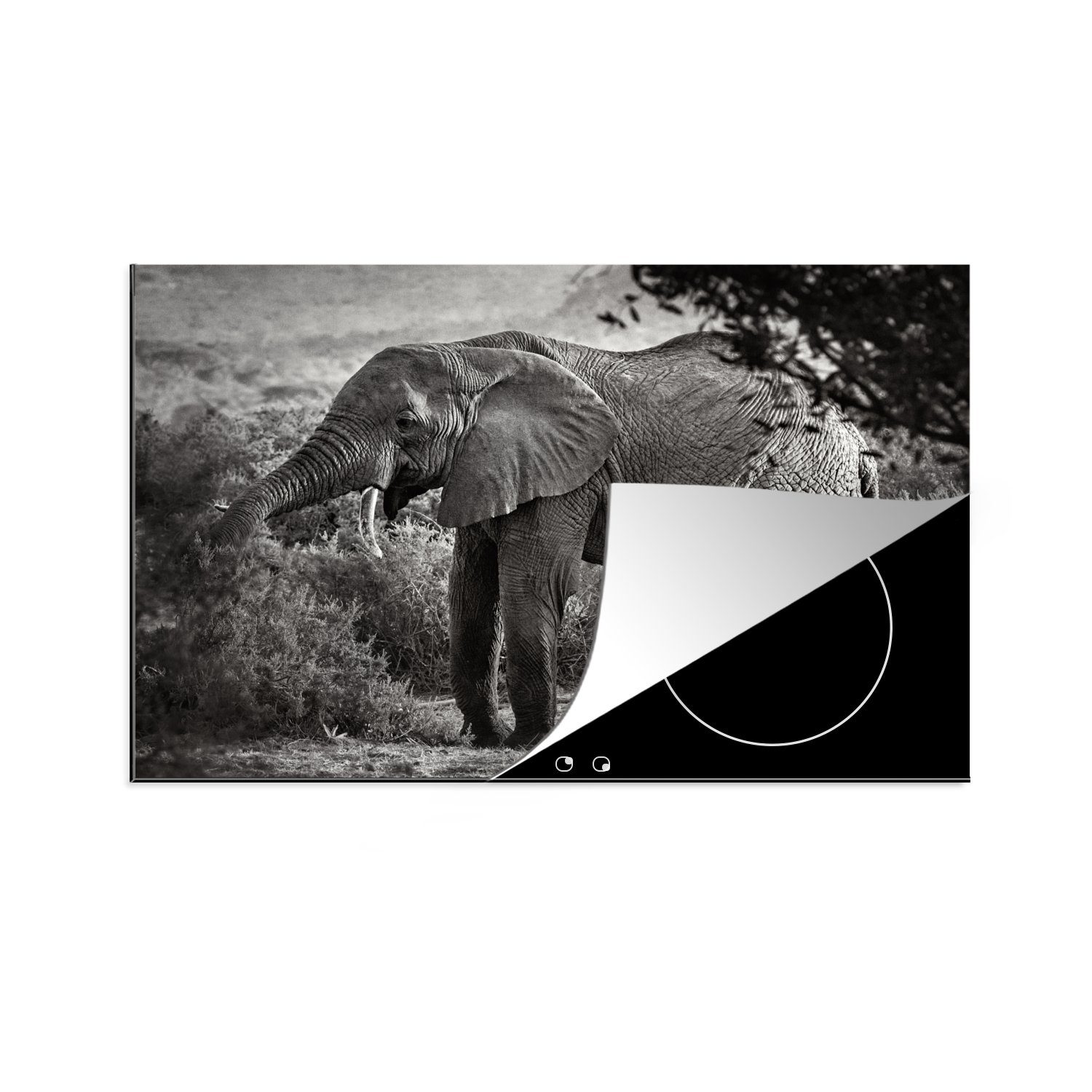 MuchoWow Weiß, Schwarz Tiere die küche, cm, Elefant - - (1 Schutz Vinyl, 81x52 Bäume Ceranfeldabdeckung für Induktionskochfeld tlg), Herdblende-/Abdeckplatte - -