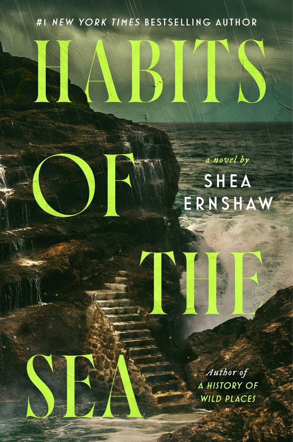 Habits of the Sea / Shea Ernshaw