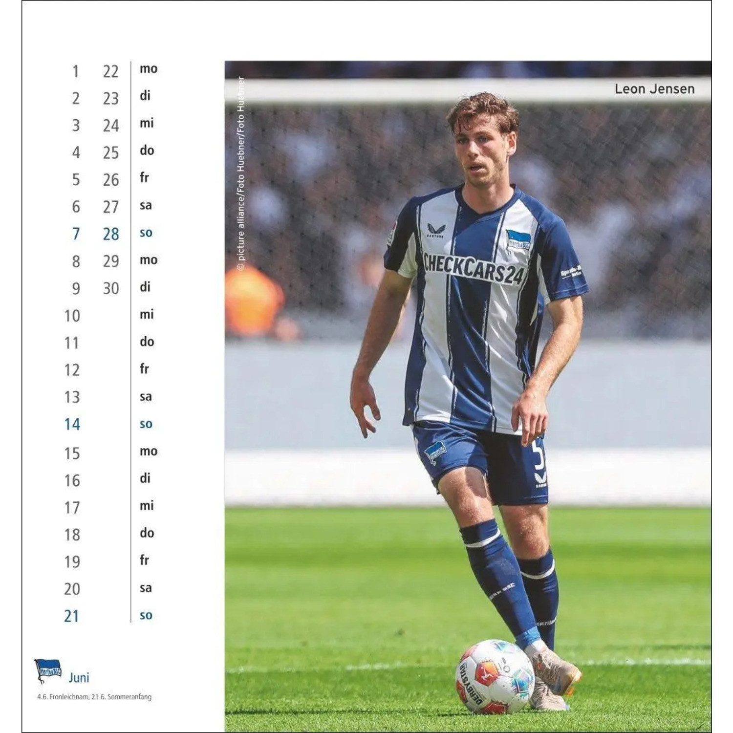 HEYE Wandkalender Hertha BSC Postkartenkalender 2026
