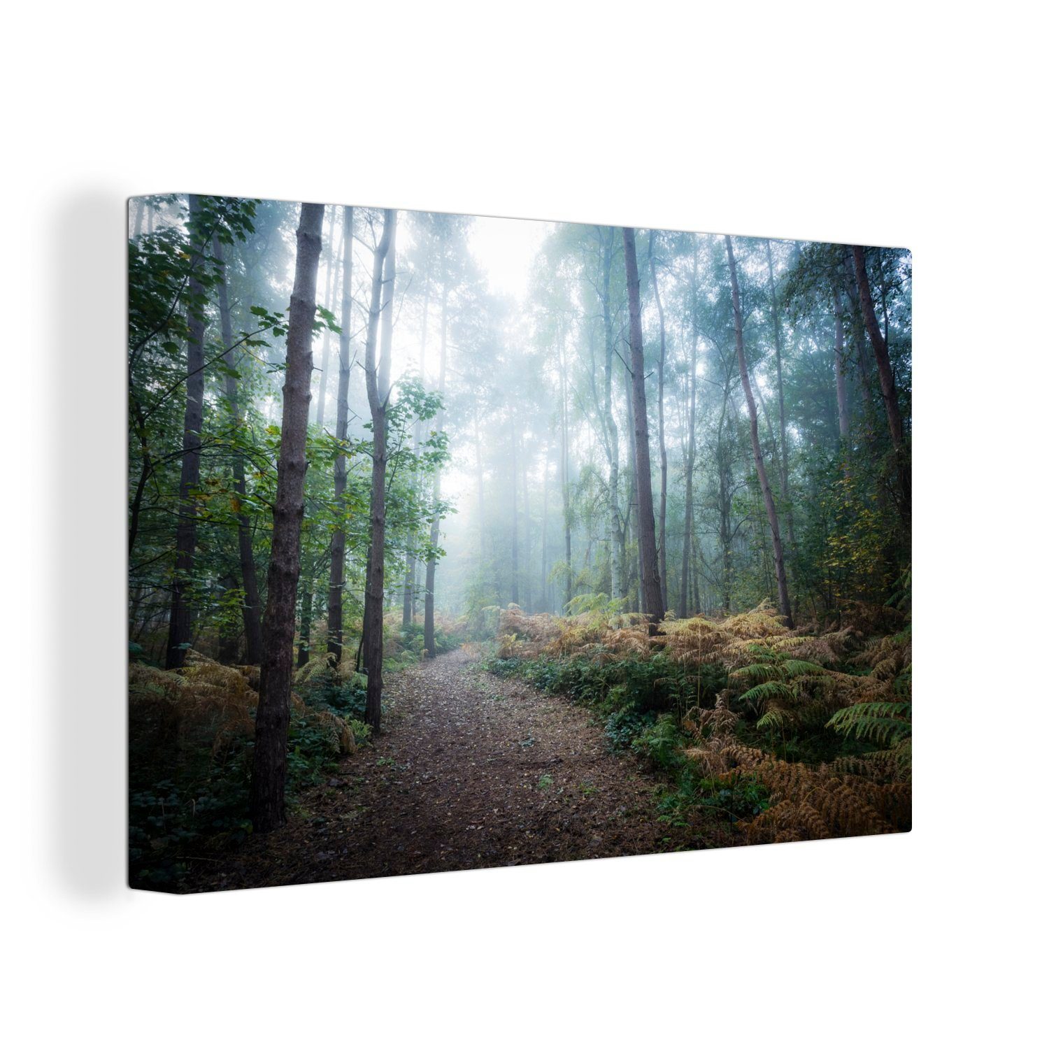 OneMillionCanvasses® Leinwandbild Wald - Nebel - Weg, (1 St), Wandbild Leinwandbilder, Aufhängefertig, Wanddeko, 30x20 cm