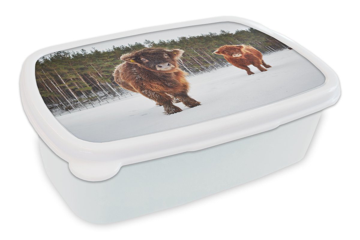 MuchoWow Lunchbox Schottische Highlander Kinder für Brotbox Mädchen Brotdose, Kunststoff, und weiß für (2-tlg), Jungs Kühe, Erwachsene, - und - Schnee