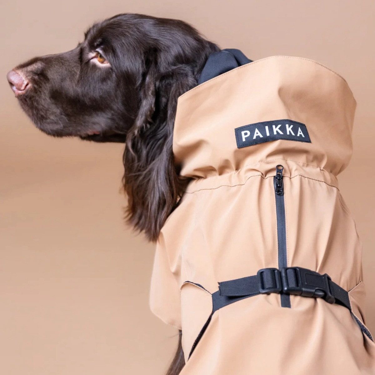 PAIKKA Hunderegenmantel Hunde Regenmantel leicht & reflektierend "Visibility Raincoat Lite t