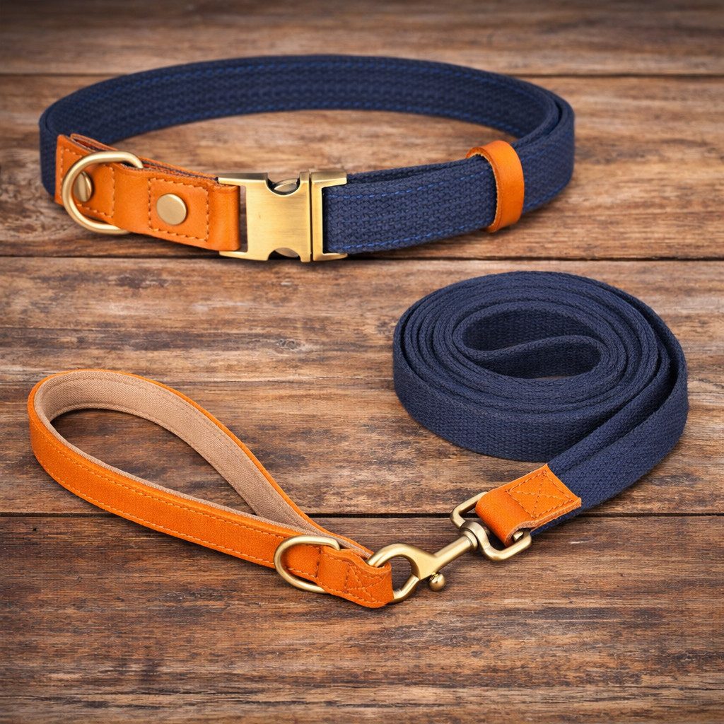 Illes-Laedchen Hunde-Halsband Set Hundehalsband und Hundeleine Leine und Halsband Nylon Leder, hochwertigste Qualität - erhältlich in vielen Größen und Farben