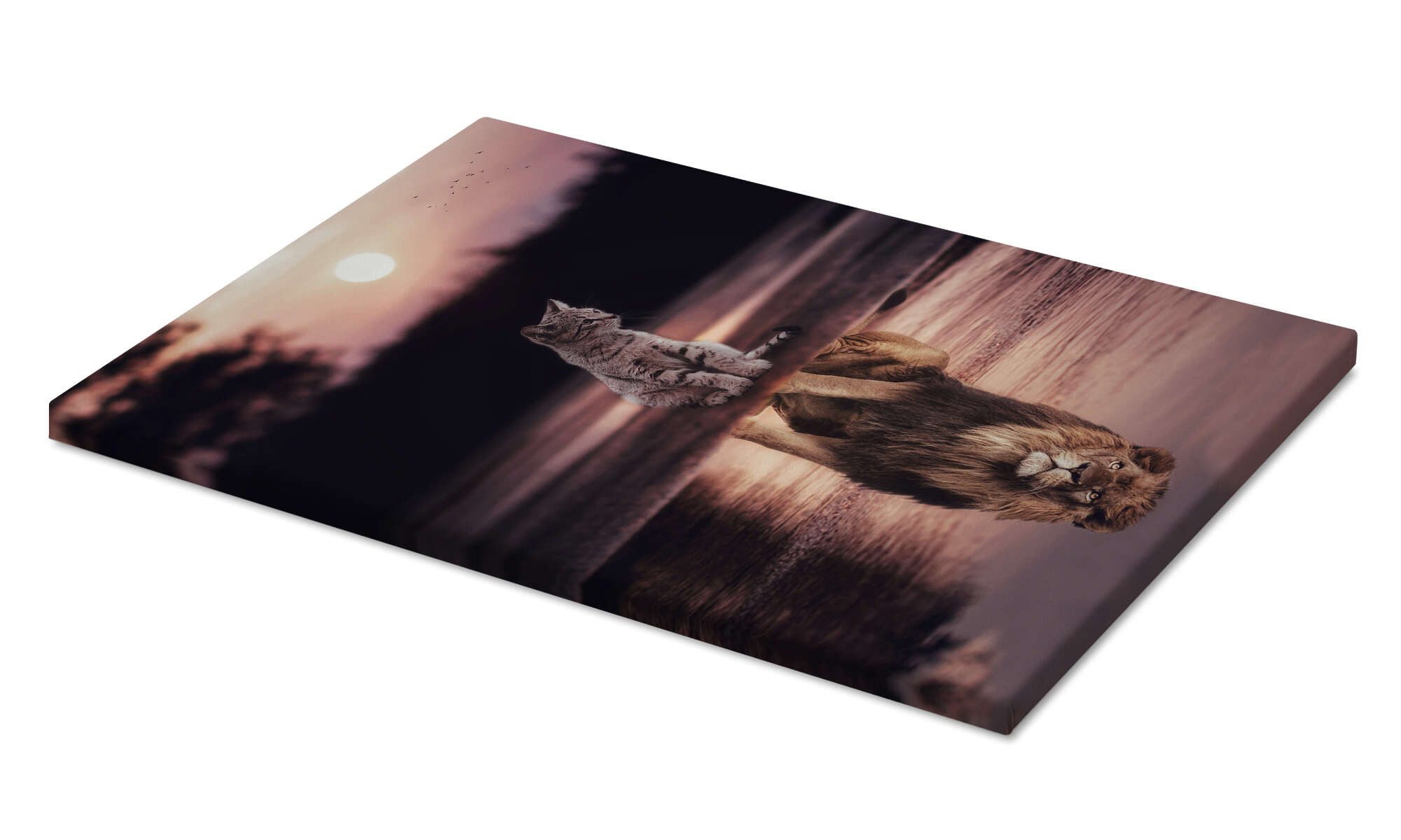 Posterlounge Wandbild Dream Big - Kleine Katze wird zum Löwen, Gen Z, erhältlich als Poster, Leinwandbild, Wandsticker oder Acrylglasbild