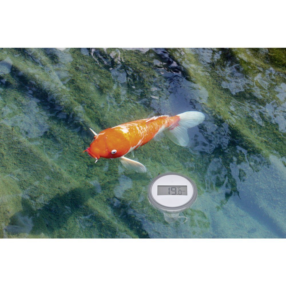 TFA Dostmann Hygrometer TFA Dostmann Palma Poolthermometer Schwarz 30.3067.10