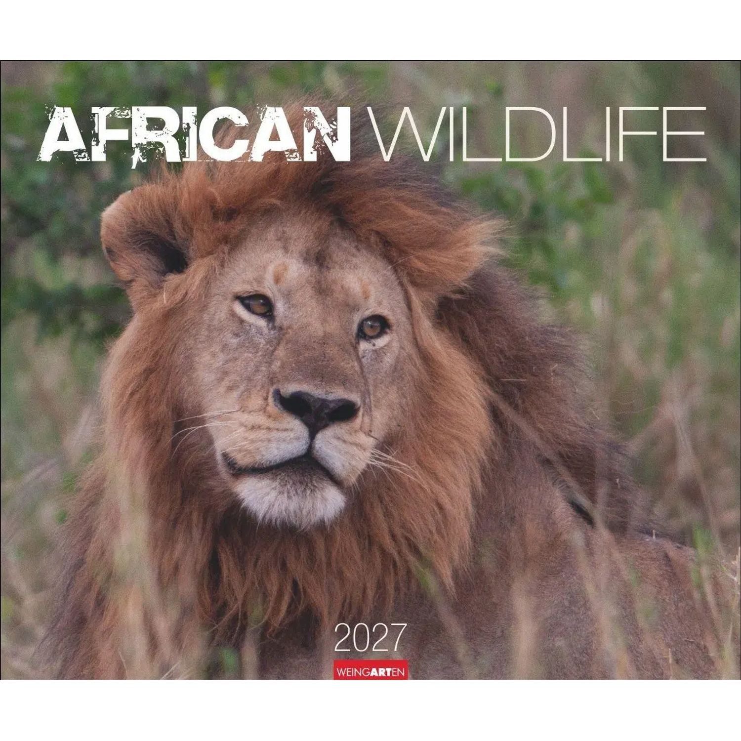 Wandkalender African Wildlife Kalender 2027