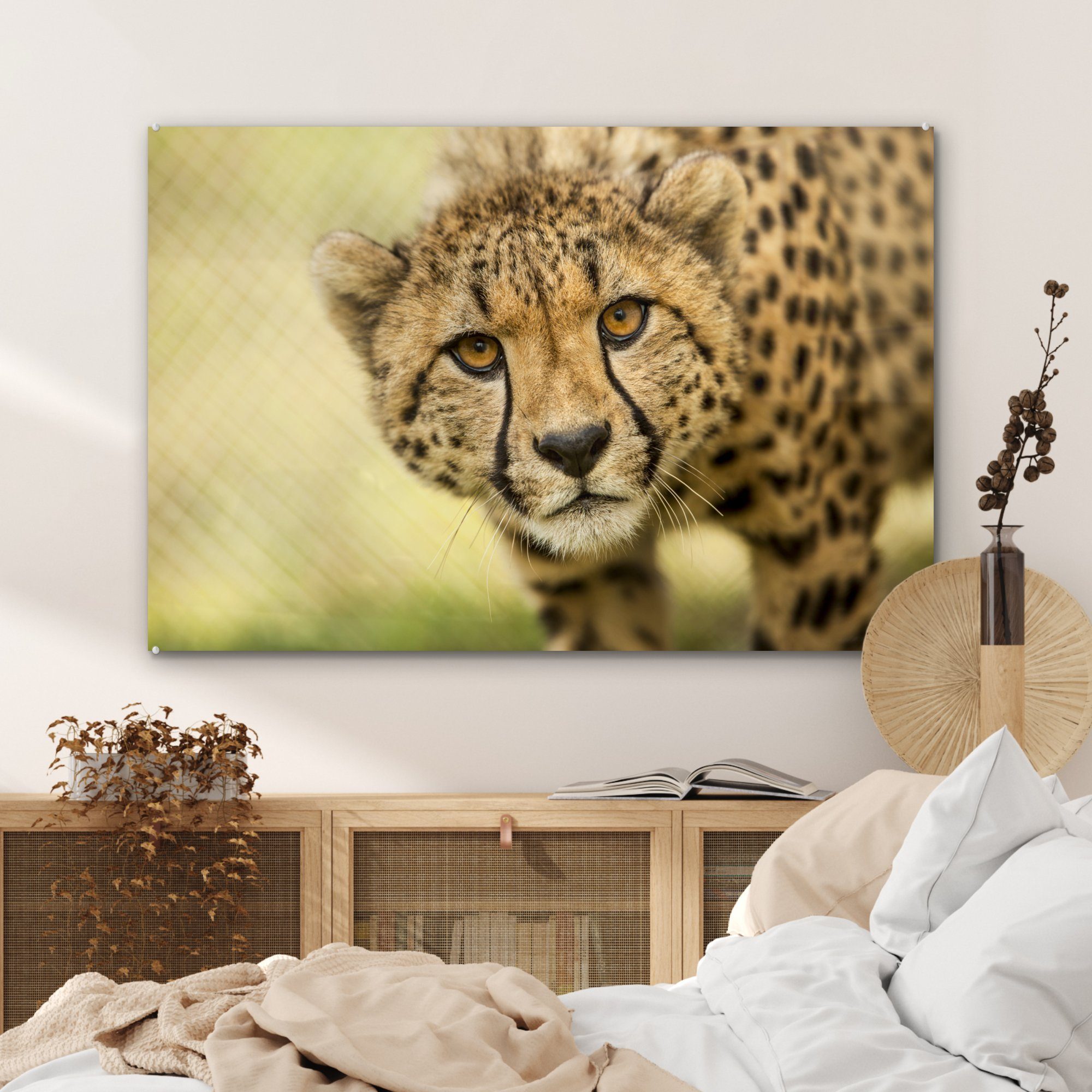 Acrylglasbilder St), Acrylglasbild Schlafzimmer & Wohnzimmer Gepard - - Tier, Leopard (1 MuchoWow