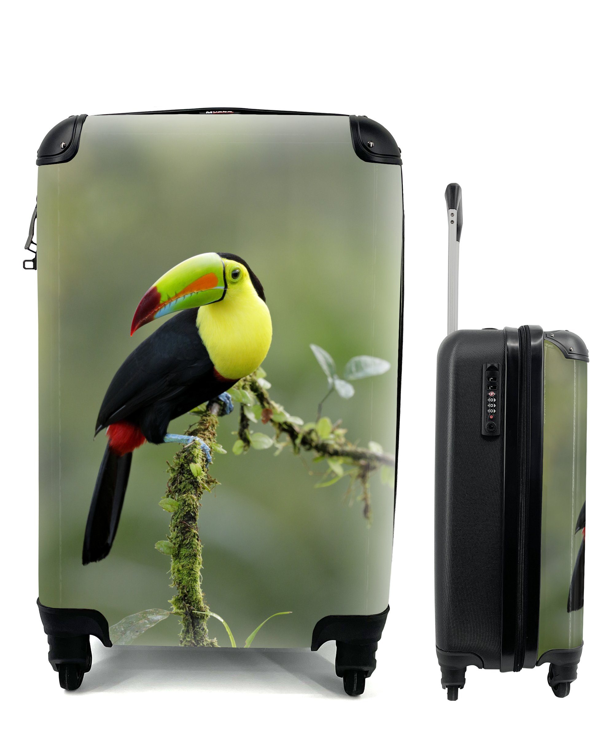 MuchoWow Handgepäckkoffer Ein Tukan ruht sich auf einem moosbewachsenen Ast aus, 4 Rollen, Reisetasche mit rollen, Handgepäck für Ferien, Trolley, Reisekoffer