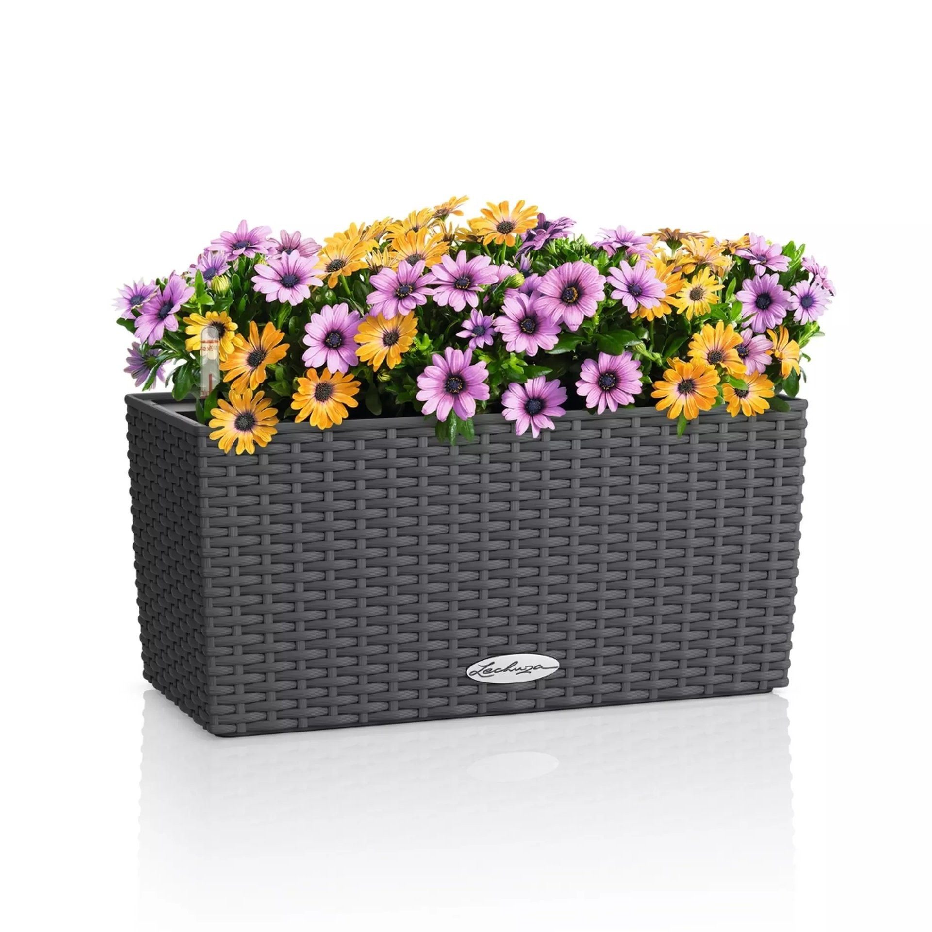 Lechuza® Balkonkasten Balconera Cottage 40 granit günstig online kaufen