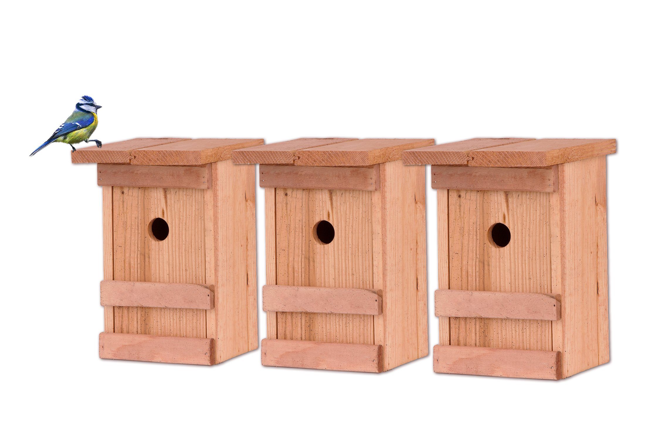 BigDean Vogelhaus 3x Meisennistkasten Vogelhäußchen Massivholz günstig online kaufen
