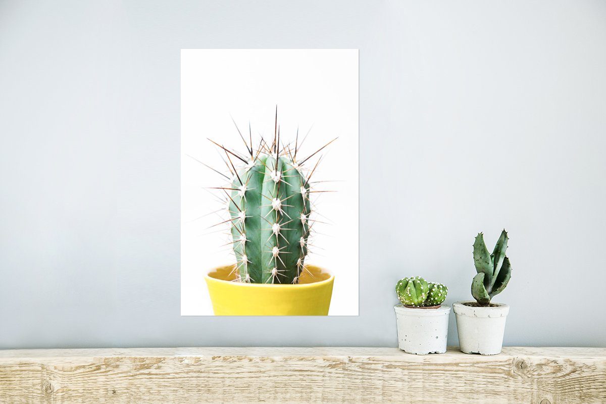 Pflanzen - Poster Wandbild, (1 St), - Wandposter MuchoWow Natur für Rahmen Wohnzimmer, - Kaktus Poster, Ohne Grün,