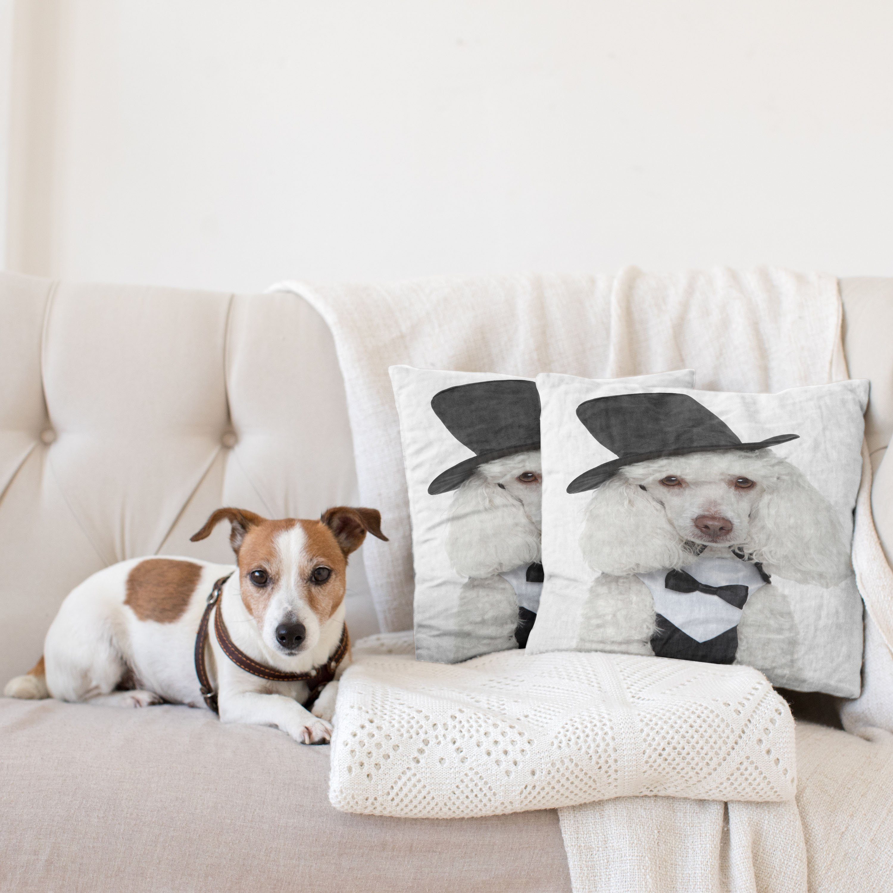Kissenbezüge Modern Accent Doppelseitiger Digitaldruck, einem Blick in Portrait Stück), Hunde Hut (2 Abakuhaus Sad
