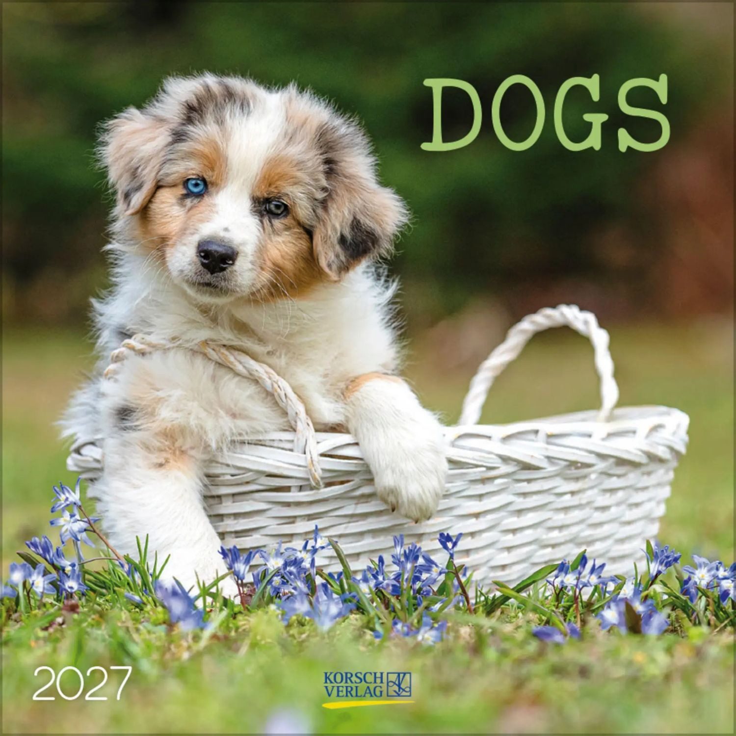 Korsch Verlag Wandkalender Dogs 2027