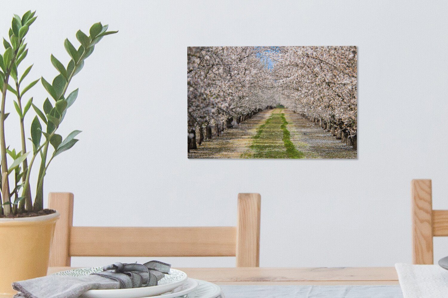 OneMillionCanvasses® Leinwandbild zwischen Weg Wandbild 30x20 Leinwandbilder, Mandelbäumen, Wanddeko, (1 cm Aufhängefertig, St), den