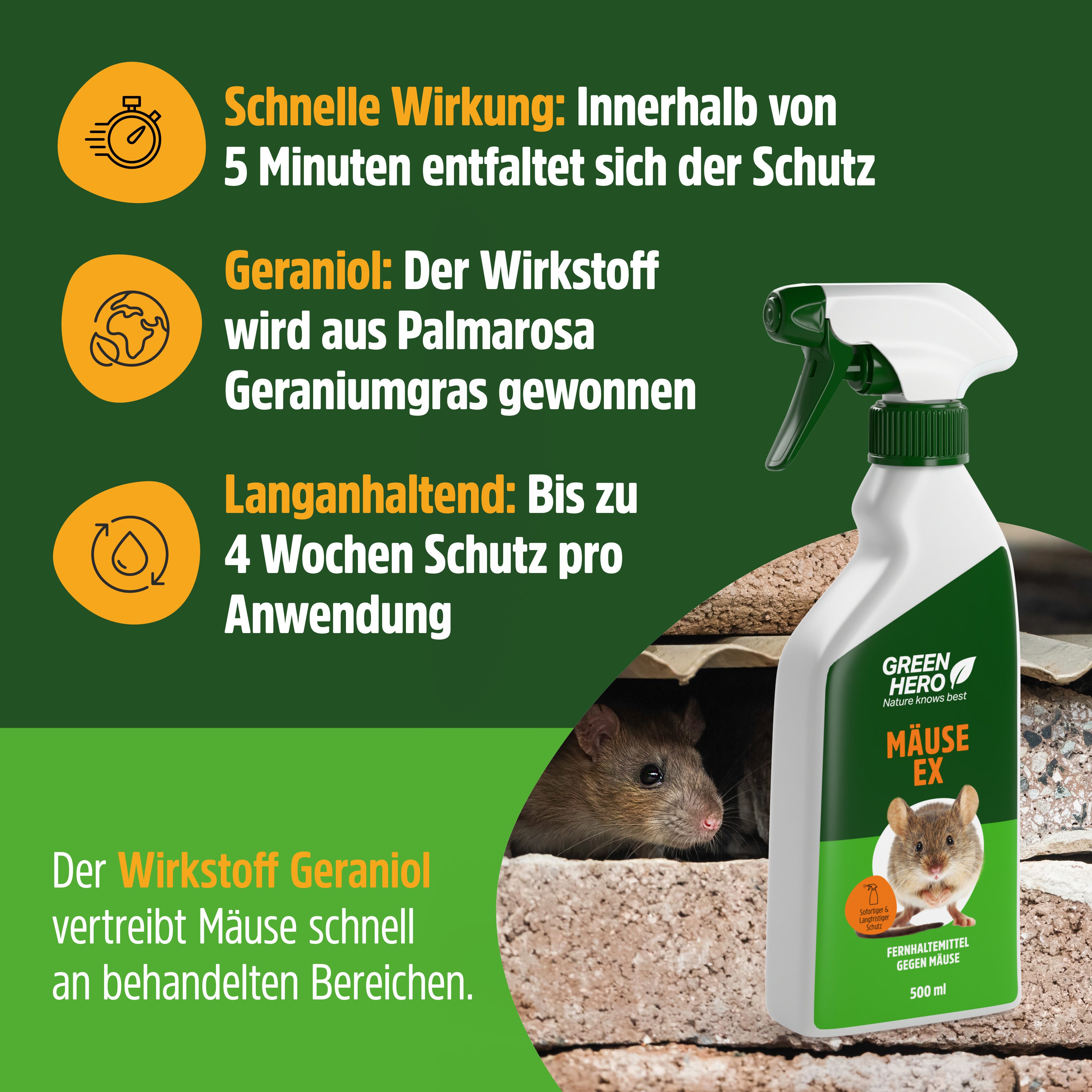 GreenHero Vergrämungsmittel Mäuse-Ex Spray zur Mäuseabwehr, 500 ml