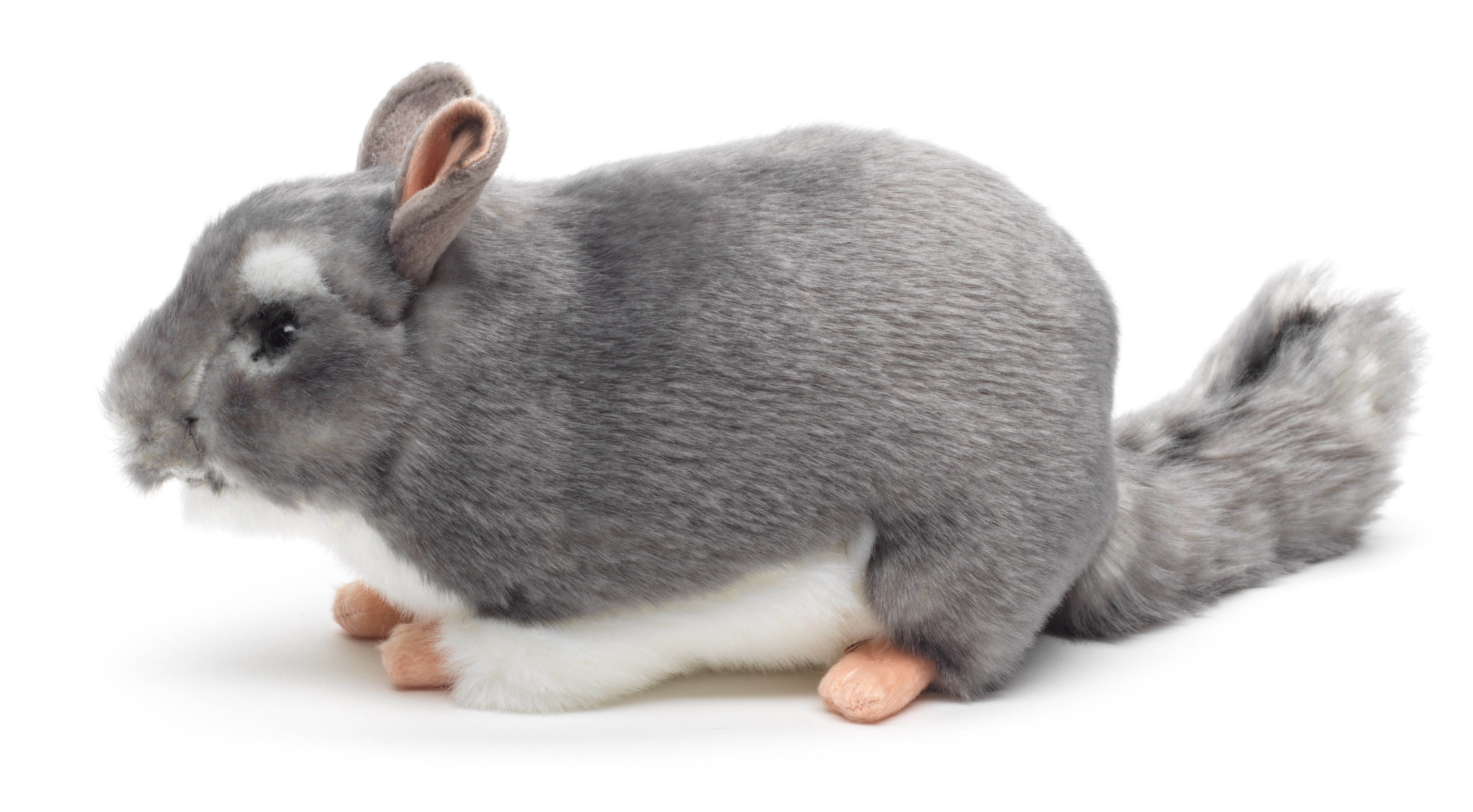 Uni-Toys Kuscheltier Chinchilla grau - 22 cm (Länge) - Plüsch-Nagetier - Plüschtier, zu 100 % recyceltes Füllmaterial
