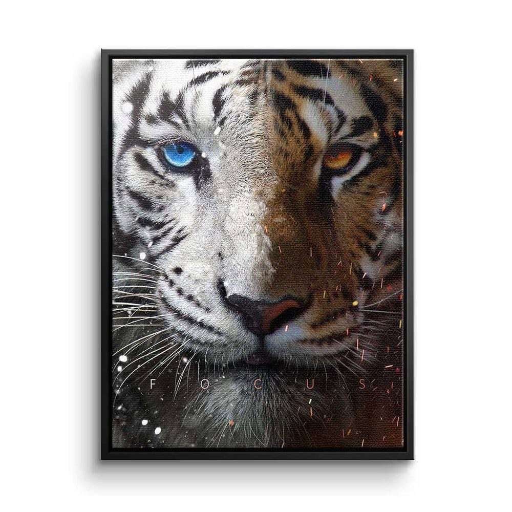 DOTCOMCANVAS® Leinwandbild, Leinwandbild Focus Face Tiger mit premium Rahmen schwarzer Rahmen