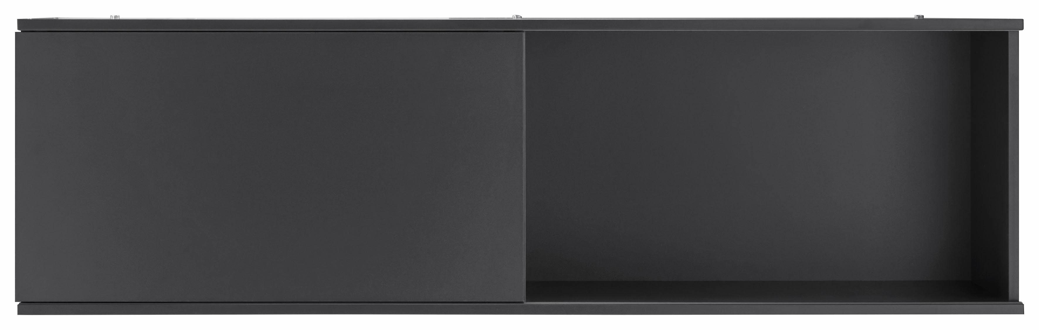 OPTIFIT Hängeregal Mini, mit Schiebetür günstig online kaufen