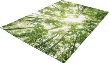 Teppich BELIS BÄUME, merinos, rechteckig, Höhe: 13 mm, Kurzflorteppich, Natur Wald Motiv, für alle Räume